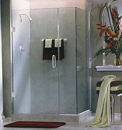 Frameless Shower Doors